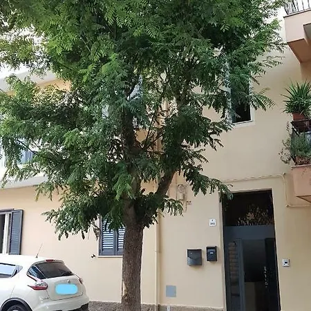 Musica 4* אלגהרו